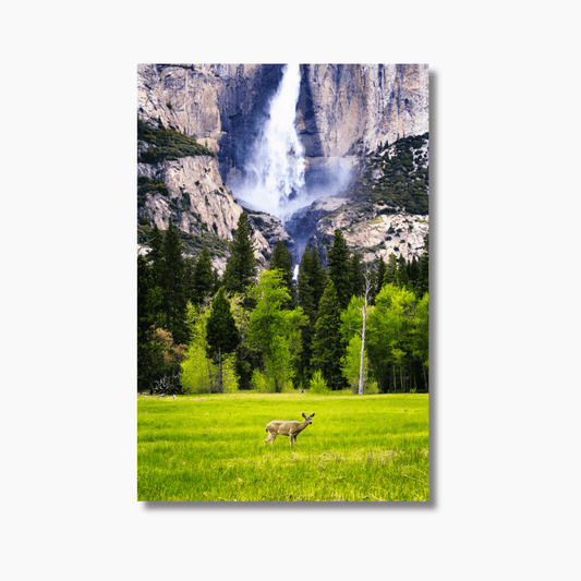Fine art photograph of a deer standing peacefully in front of Yosemite Falls in Yosemite National Park.