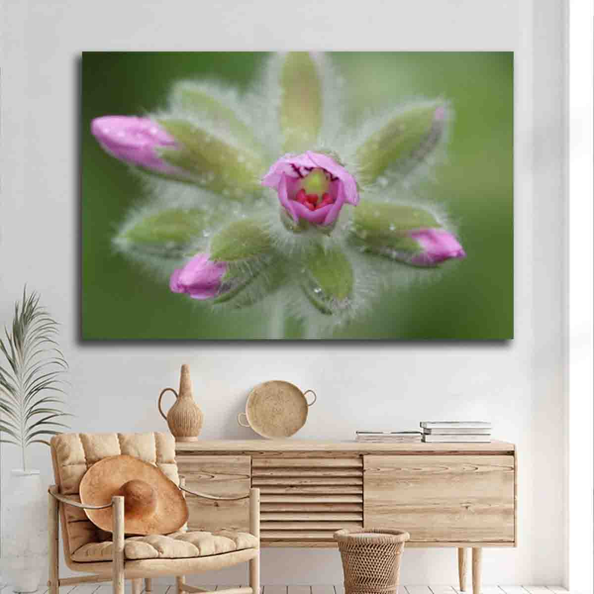 Geranium flower print from Albany, WA, displayed in a light, minimalist interior as botanical wall art.