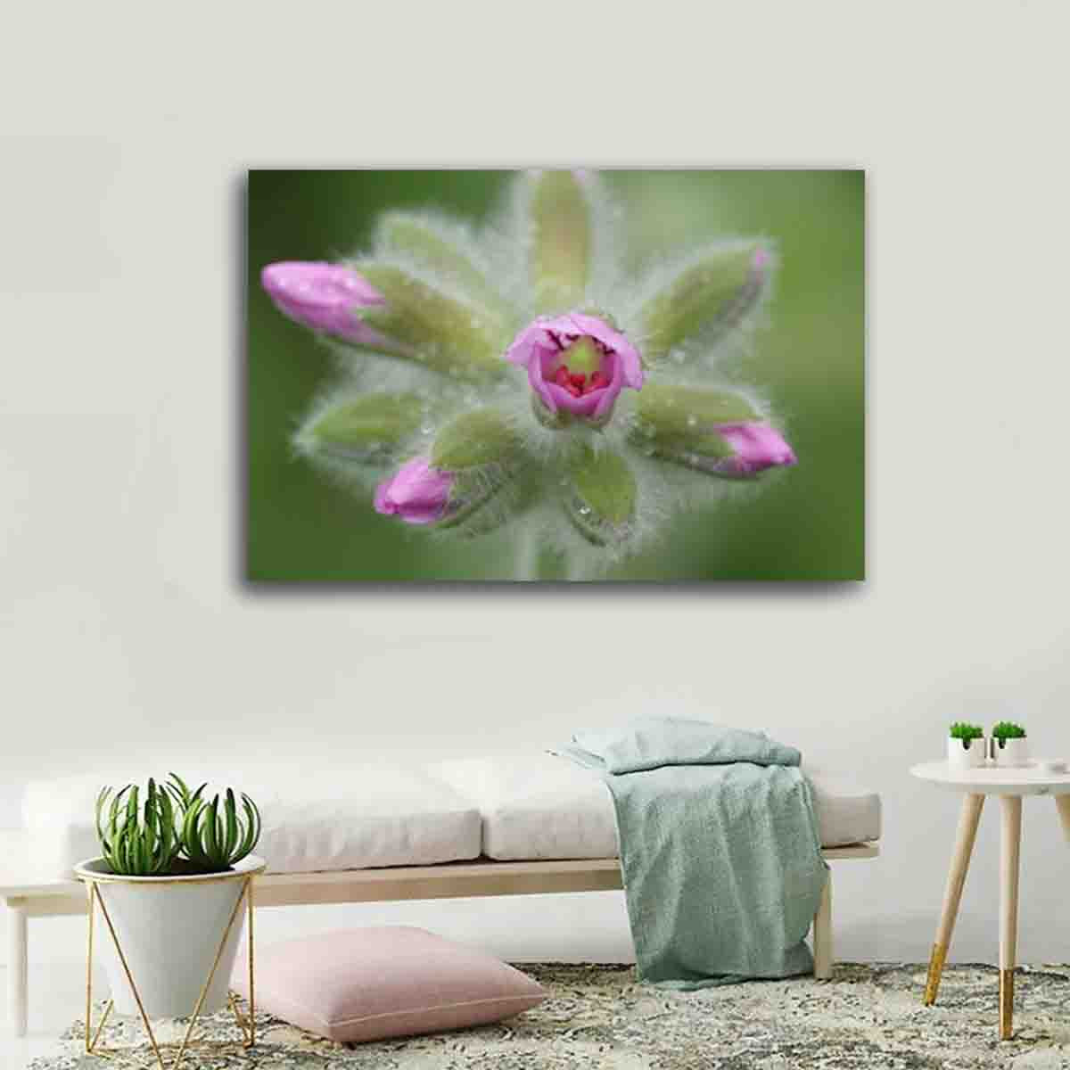 Geranium flower print from Albany, WA, displayed in a light, minimalist interior as botanical wall art.