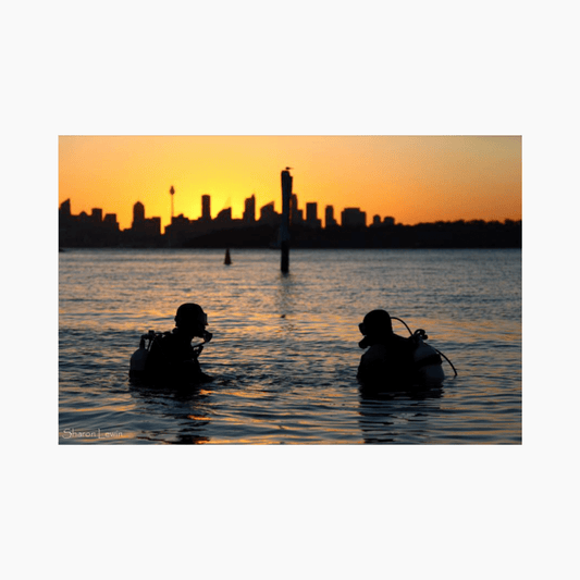 Two divers in Sydney Harbour at sunset with the city skyline in the background — limited edition coastal cityscape wall art print.