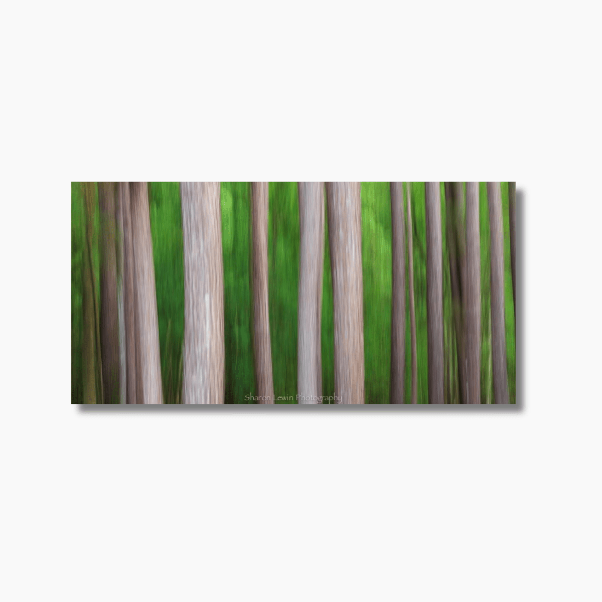 Abstract vertical motion blur of forest trees in natural tones, creating a soft, painterly fine art effect.