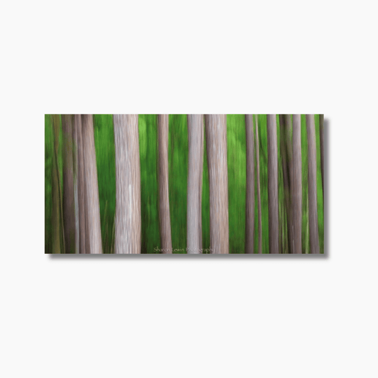 Abstract vertical motion blur of forest trees in natural tones, creating a soft, painterly fine art effect.