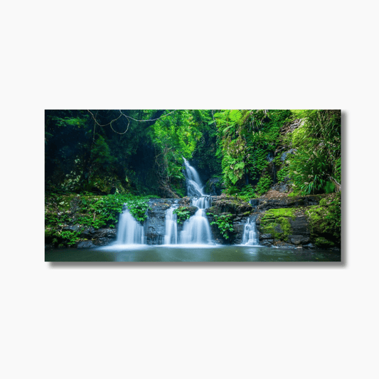 Rainforest waterfall cascading over mossy rocks at Box Log Falls, Lamington National Park — lush green foliage and soft water captured in fine art detail.