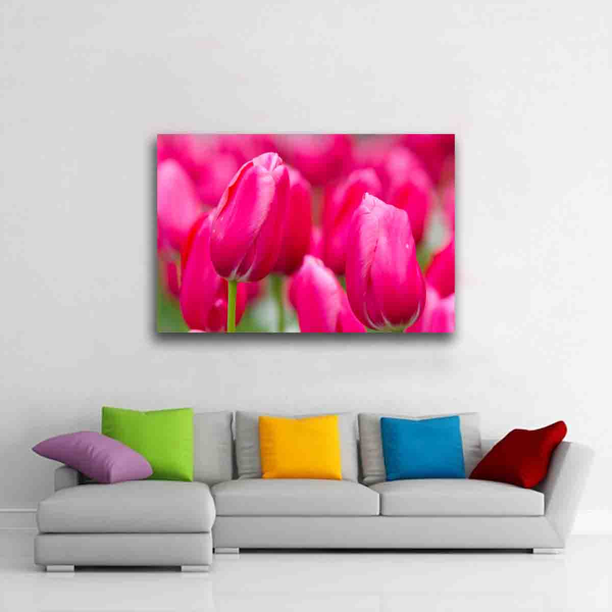 Crimson Canvas - Gallery Twelve
