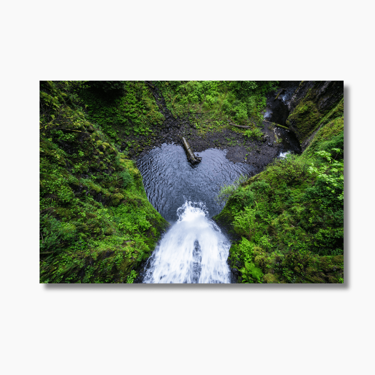 View from the bridge at Multnomah Falls, Oregon—vertical waterfall wall art print with lush green forest.