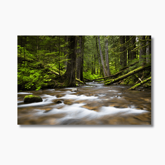 Panther Creek Falls in Washington State, cascading waterfall surrounded by lush green forest.
