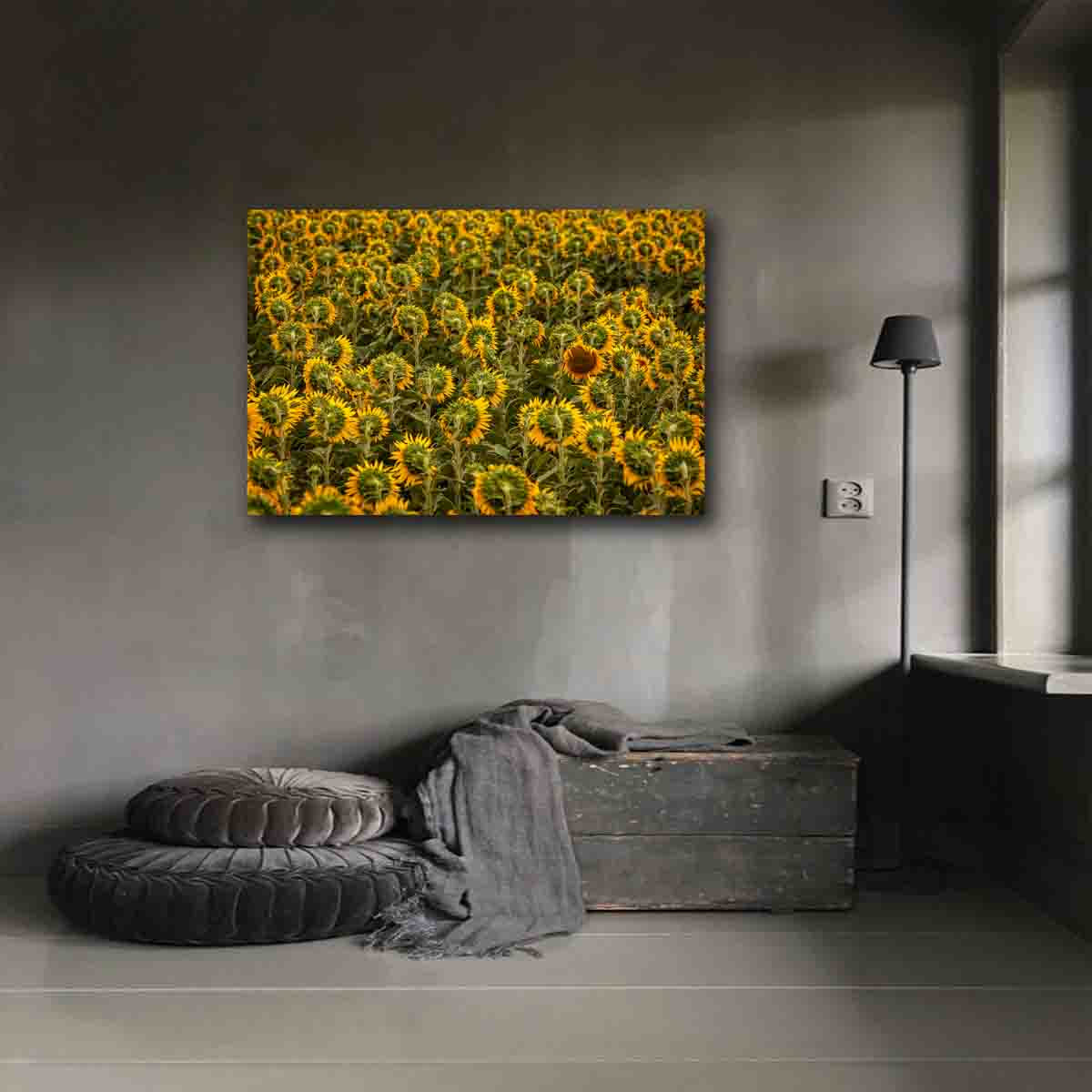 Floral fine art print of a solitary sunflower in a modern, nature-inspired living room.