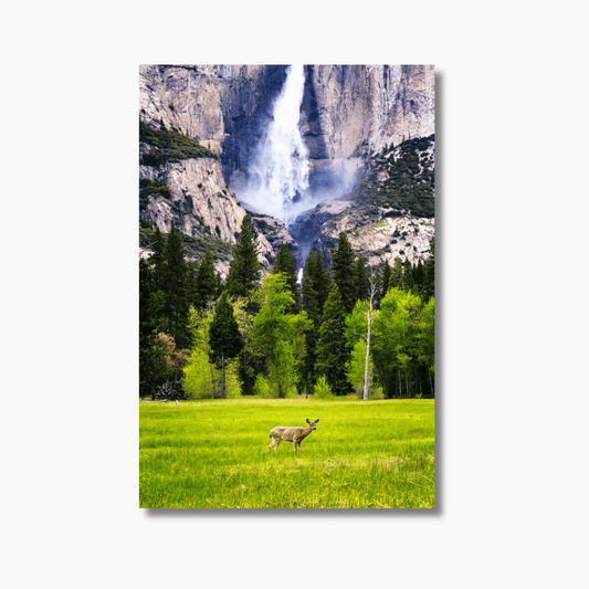 Fine art photograph of a deer standing peacefully in front of Yosemite Falls in Yosemite National Park.