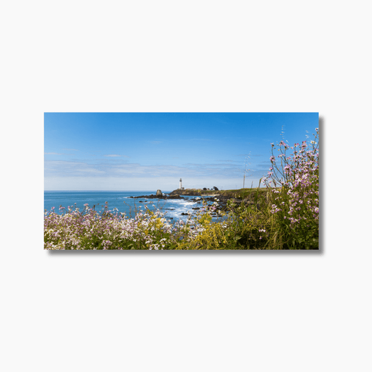 Pigeon Point Lighthouse in California captured in soft light — limited edition coastal wall art print with ocean and lighthouse landscape.